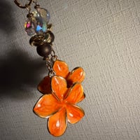 orange プルメリア