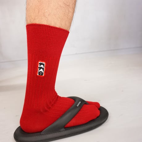 TABI SOX　SIZE : FREE 25cm~28cm