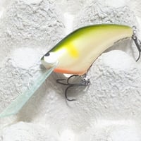 ワイルドバイト 【ヨナシャッド】：アユ