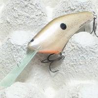 ワイルドバイト 【ヨナシャッド】：ルートビア