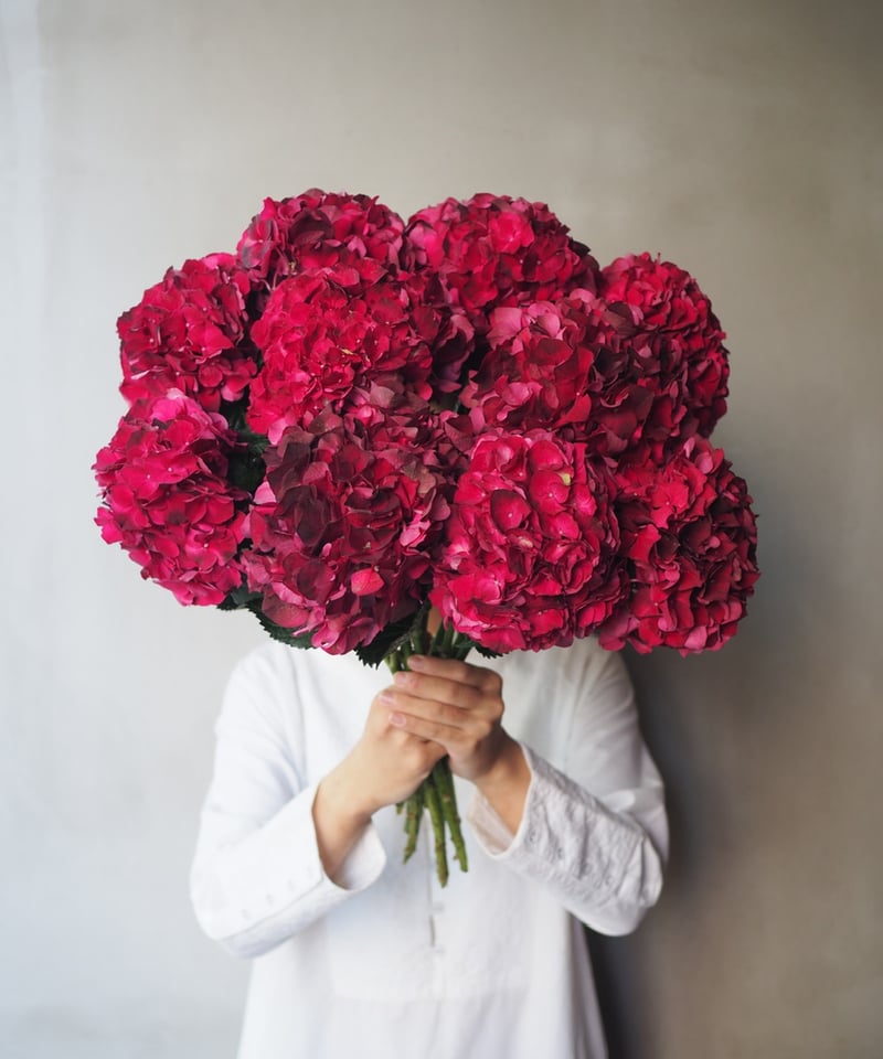 アンティーク紫陽花 「マジカルダークルビー 」 2本セット | Ours flower