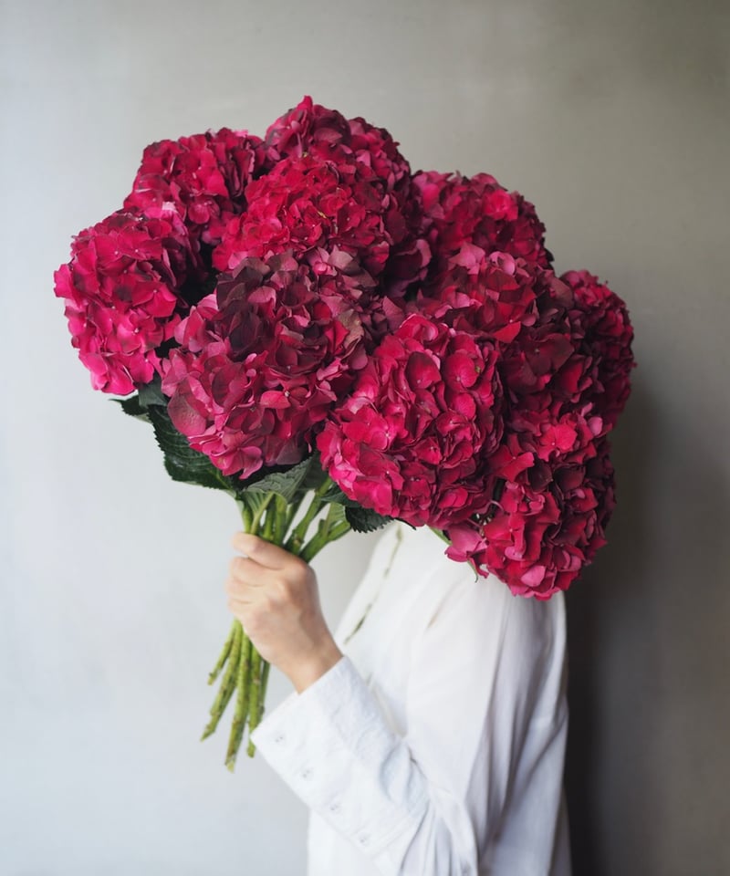 2.アンティーク紫陽花スワッグ アンティーク紫陽花 「マジカルダークルビー 」 2本セット | Ours flower