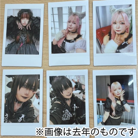 【インターネットサイン会対象商品】TJPW ハロウィンチェキ'26