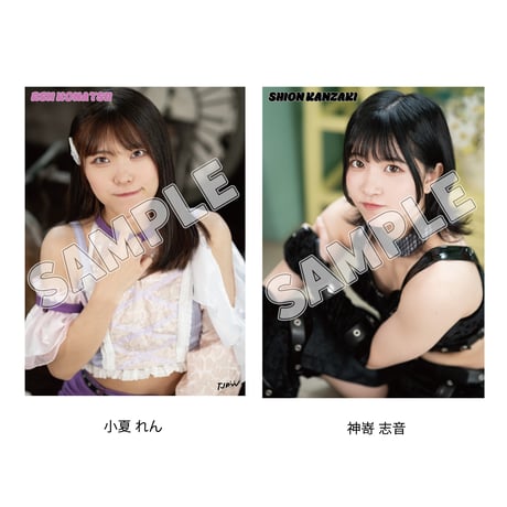【11.8 東京・後楽園ホール会場お渡し限定】TJPW ビジュアルポートレート※発送はいたしません