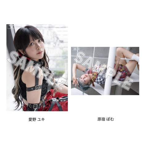 【7.18 東京・後楽園ホール会場お渡し限定】TJPW ビジュアルポートレート※発送はいたしません