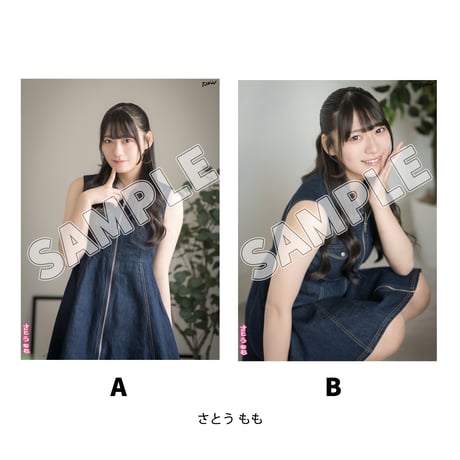 【インターネットサイン会対象商品】TJPW ぽむとれーと'26