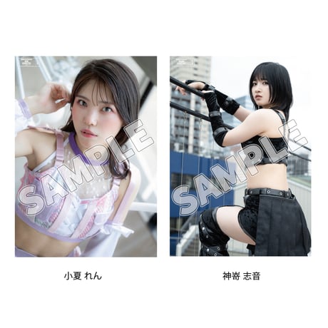 【7.18 東京・後楽園ホール会場お渡し限定】TJPW ビジュアルポートレート※発送はいたしません