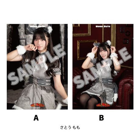 【インターネットサイン会対象商品】TJPW ハロウィンポートレート'26