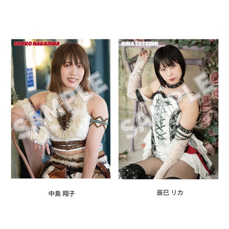 【11.8 東京・後楽園ホール会場お渡し限定】TJPW ビジュアルポートレート※発送はいたしません