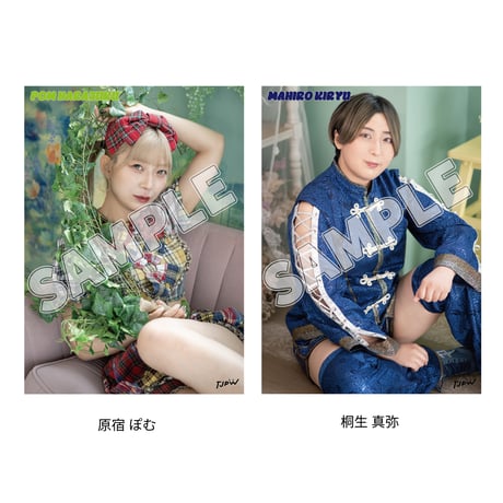 【11.8 東京・後楽園ホール会場お渡し限定】TJPW ビジュアルポートレート※発送はいたしません