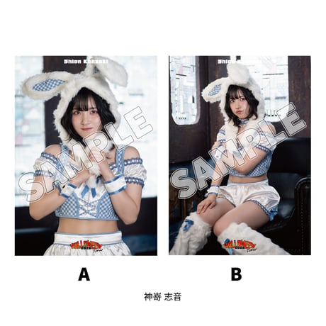 【インターネットサイン会対象商品】TJPW ハロウィンポートレート'26