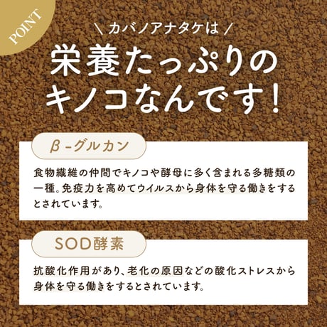 【新・定期便】10％OFF　北海道産 チャーガ茶 カバタケ茶 鍋抽出用 ティーバッグ28包入り No.2210