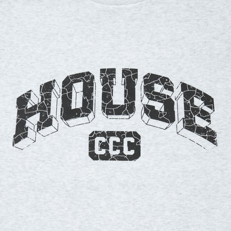 ISNESS MUSIC x CITY COUNTRY CITY_CREW NECK SWEATSHIRT_HOUSE_AH GRAY
