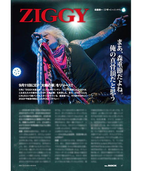 WeROCK 115