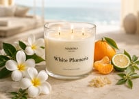 White Plumeria
