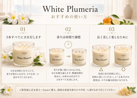 White Plumeria