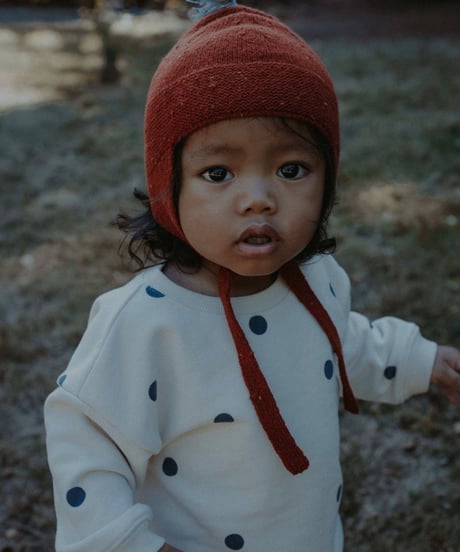 organic zoo - Fog Blue Dots Sweatshirt GOTS