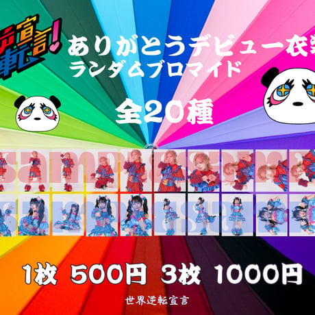SEKASEN RANDOM BROMIDE COLLECTION