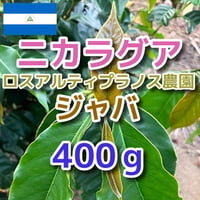 ニカラグア ロスアルティプラノス農園 ジャバ 400ｇ