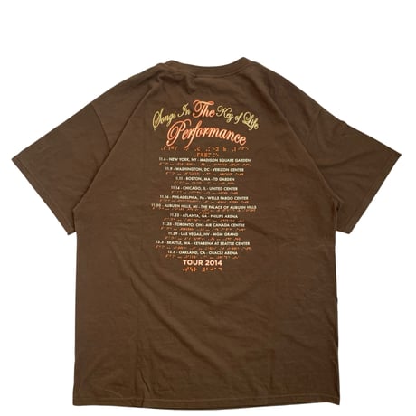 STEVIE WONDER " S/S TEE BROWN