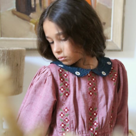 Bonjour  Embroidered dress Red chambray