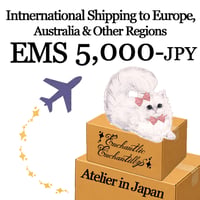 Intnernational Shipping to Europe, Australia & Other Regions