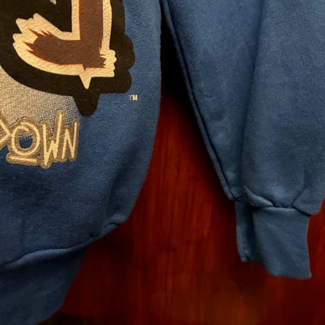 レア MADE IN USA製 90s GTS × NFL DETROIT LIONS 1994年 プリント入り スウェットトレーナー ブルー Mサイズ