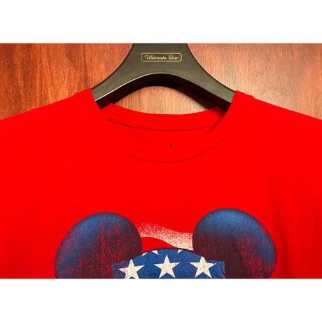 Disneyland RESORT WALT DiSney WORLD by Hanes 星条旗柄 ミッキーマウス プリントTシャツ レッド Mサイズ