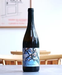 Traminer 2024 Judith Beck トラミーナー 2024 ユーディト・ベック