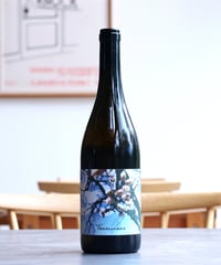 Traminer 2024 Judith Beck トラミーナー 2024 ユーディト・ベック