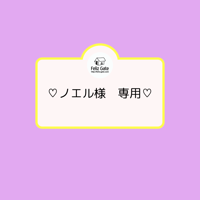 ☆ノエル様　専用オーダー品☆
