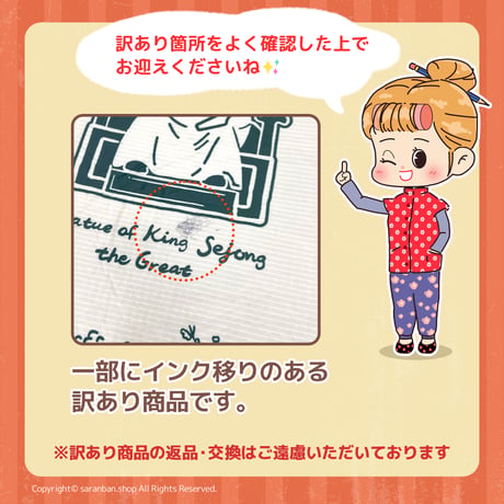 ✦訳あり品✦  【STARBUCKS KOREA】リユーザブルバッグ（L）