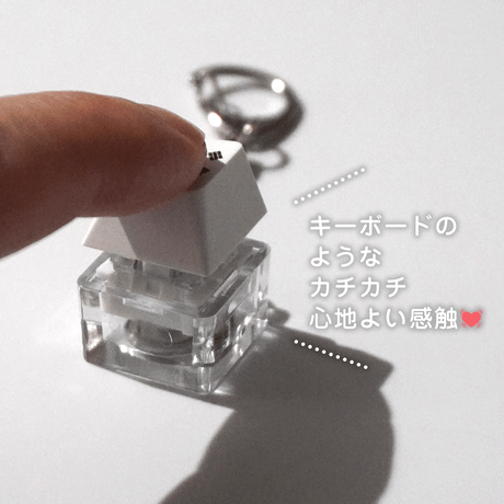 カチカチ太極旗キーホルダー