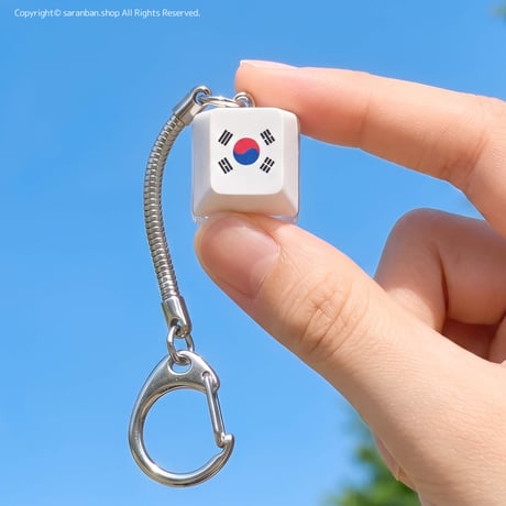 カチカチ太極旗キーホルダー