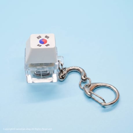 カチカチ太極旗キーホルダー