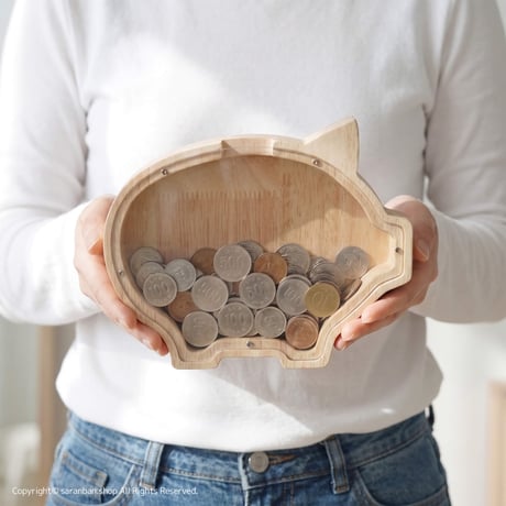 ブタのアクリル貯金箱