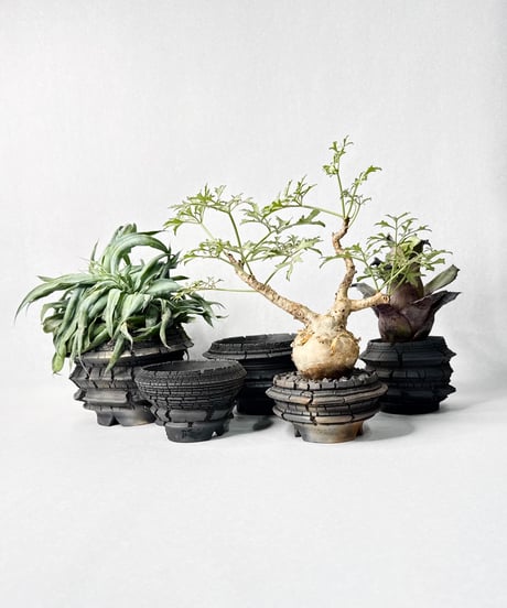 宮島將實 鉢作品 １