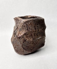 田中元将・ 鉢１７