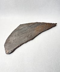 田中元将・皿