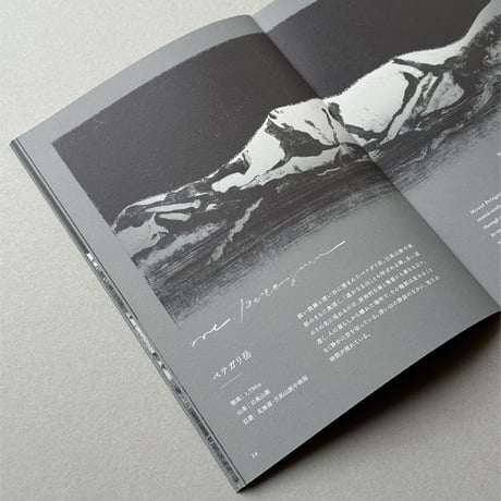 ZINE（冊子）「THE SHAPE OF MOUNTAINS」