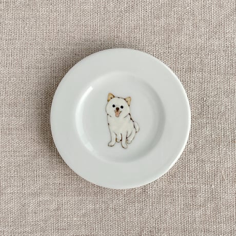 白柴豆皿