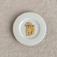 パピープードル（アプリコット）豆皿