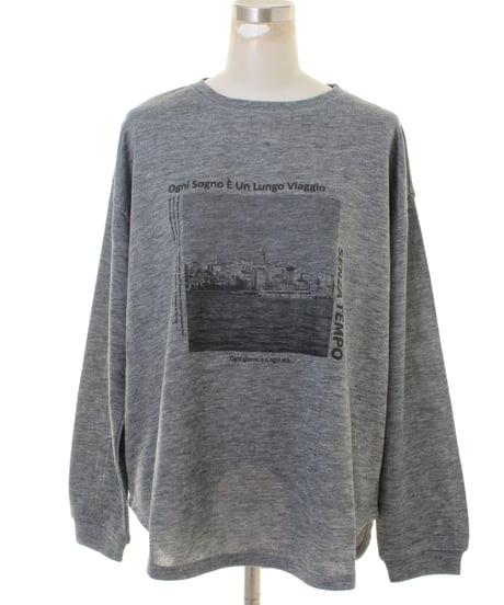 AnnaKerryアンナケリープリント　長袖Ｔシャツ　56264904