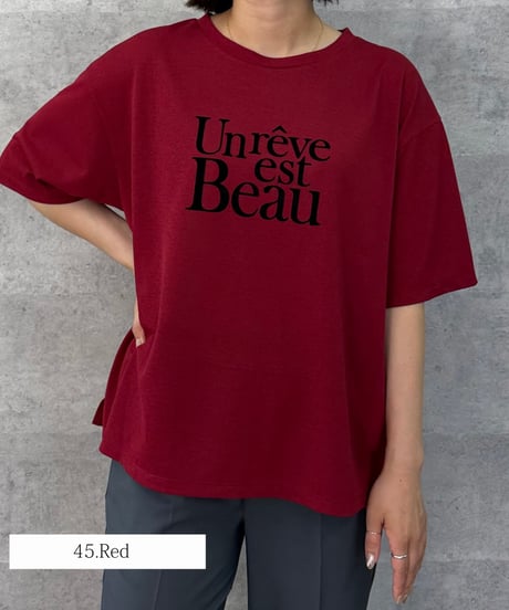 Anna Kerry アンナケリー ドライタッチロゴTシャツ（NO.27263905）