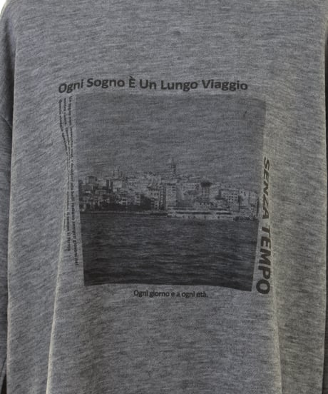 AnnaKerryアンナケリープリント　長袖Ｔシャツ　56264904