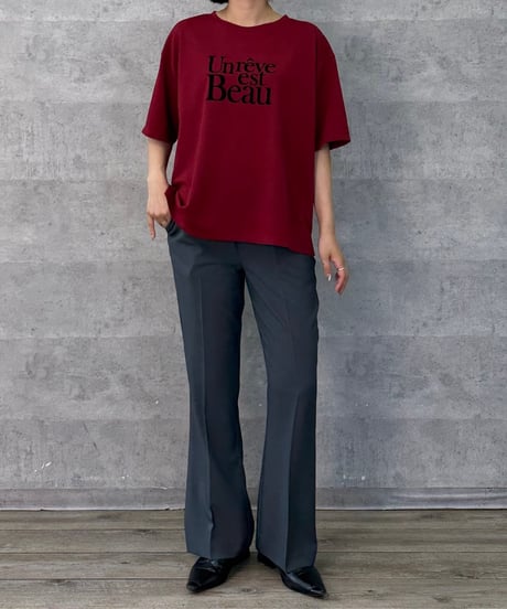 Anna Kerry アンナケリー ドライタッチロゴTシャツ（NO.27263905）