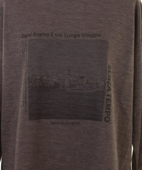 AnnaKerryアンナケリープリント　長袖Ｔシャツ　56264904