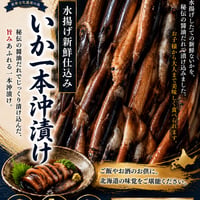 いか一本漬け　5本セット