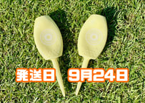 ※9月24日発送※●パステルイエロー●   【パリティー】 （5本）50セット