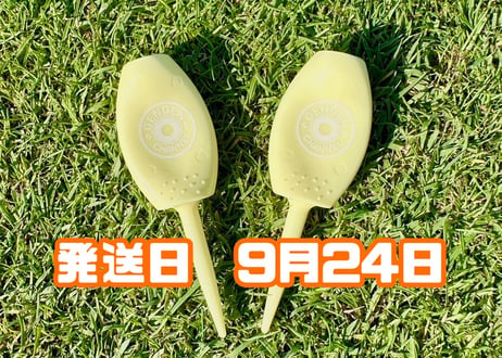 ※9月24日発送※●パステルイエロー●   【パリティー】 （5本）50セット